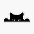 Kitty - Stickers and More by MatthiaStickers and More by Matthia