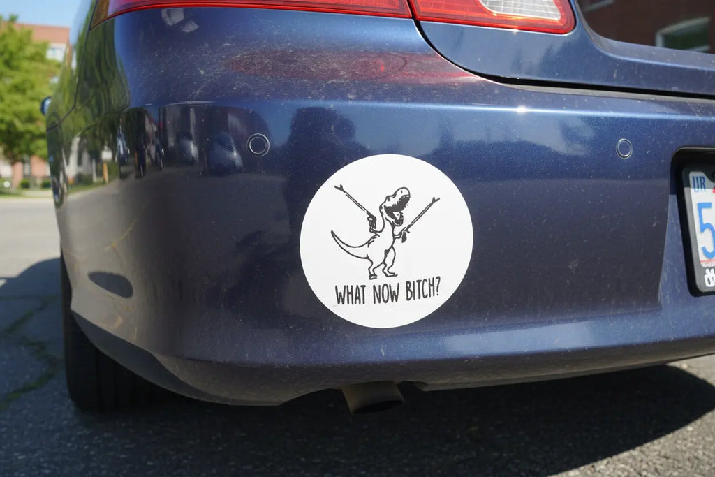 What now B****? Stickers and More by Matthia